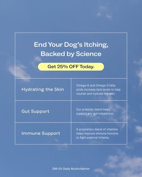A clean, educational ad creative utilizing a grid layout to communicate the primary health benefits of a daily multivitamin for pets.